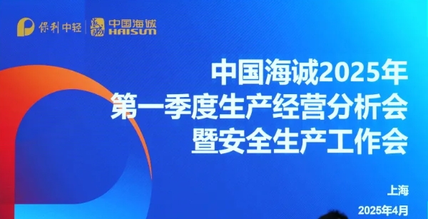 China Haisum Holds a Production and Operation Analysis Meeting for 2025 Q1
